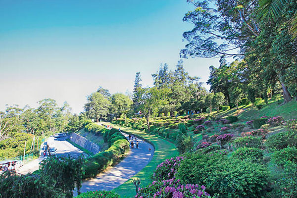Hakgala Botanical Garden – The Wind Castle